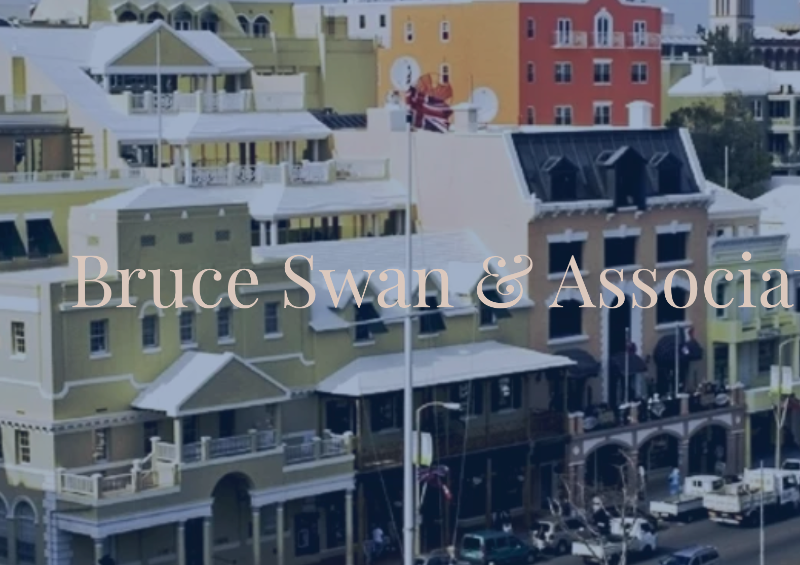 Bruce Swan & Associates
