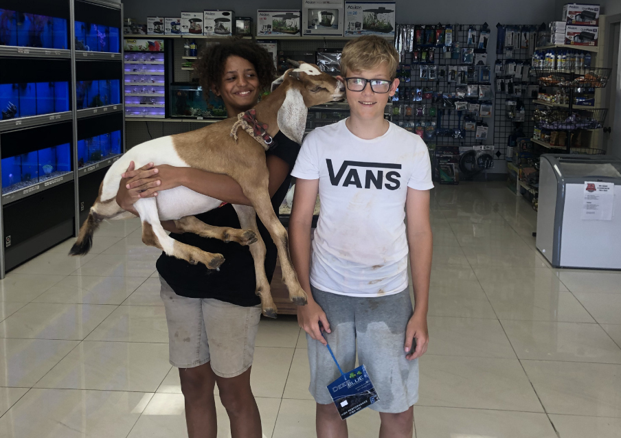 Pet Stop