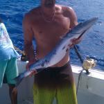 Paradise One Sports Fishing Charters