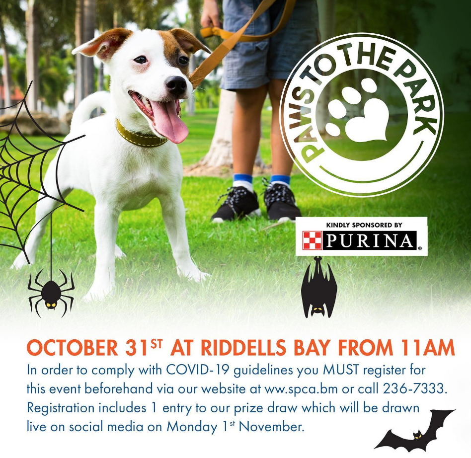 Paws to the Park Event on 31st October!
