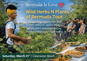 Bermuda Is Love: Wild Herbs N Plants of Bermuda Tour