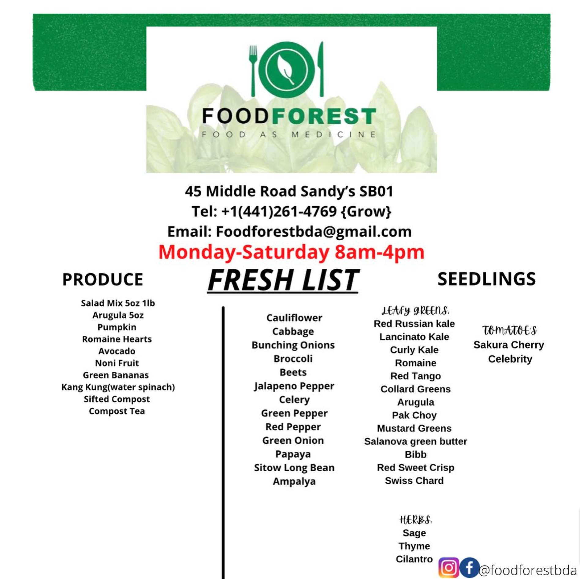 Food Forest