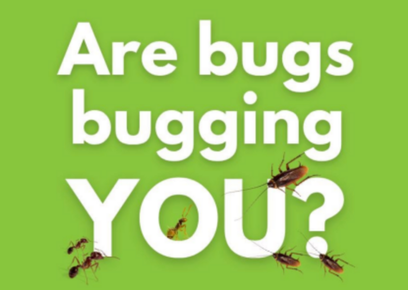 Eco Pest Bermuda September Promotion
