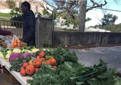 Javaughn Dill Fresh Vegetables