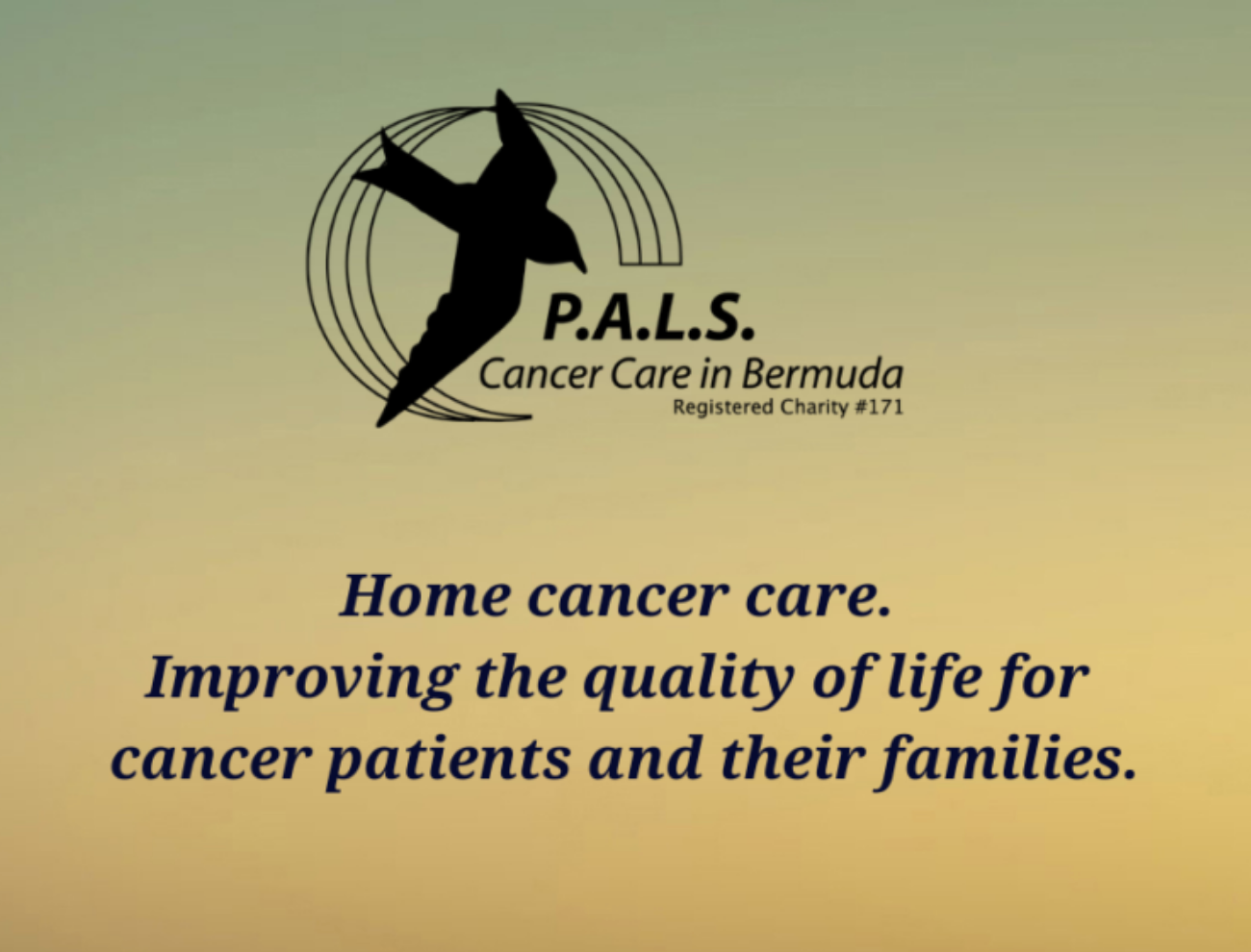 P.A.L.S. ( Home Care for Cancer Patients in Bermuda)