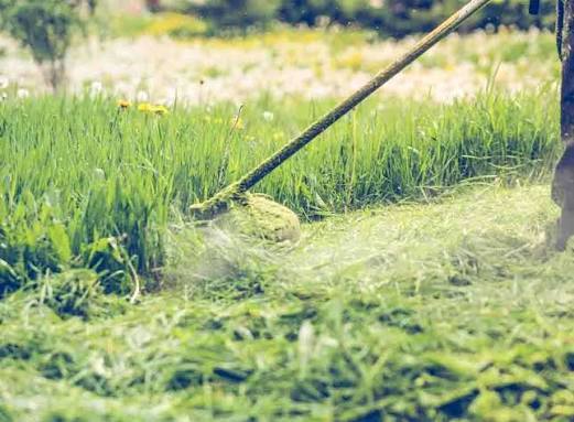 Mello Landscaping Ltd.