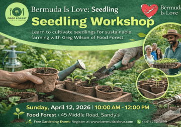 Bermuda Is Love: Seedling Workshop with Food Forest