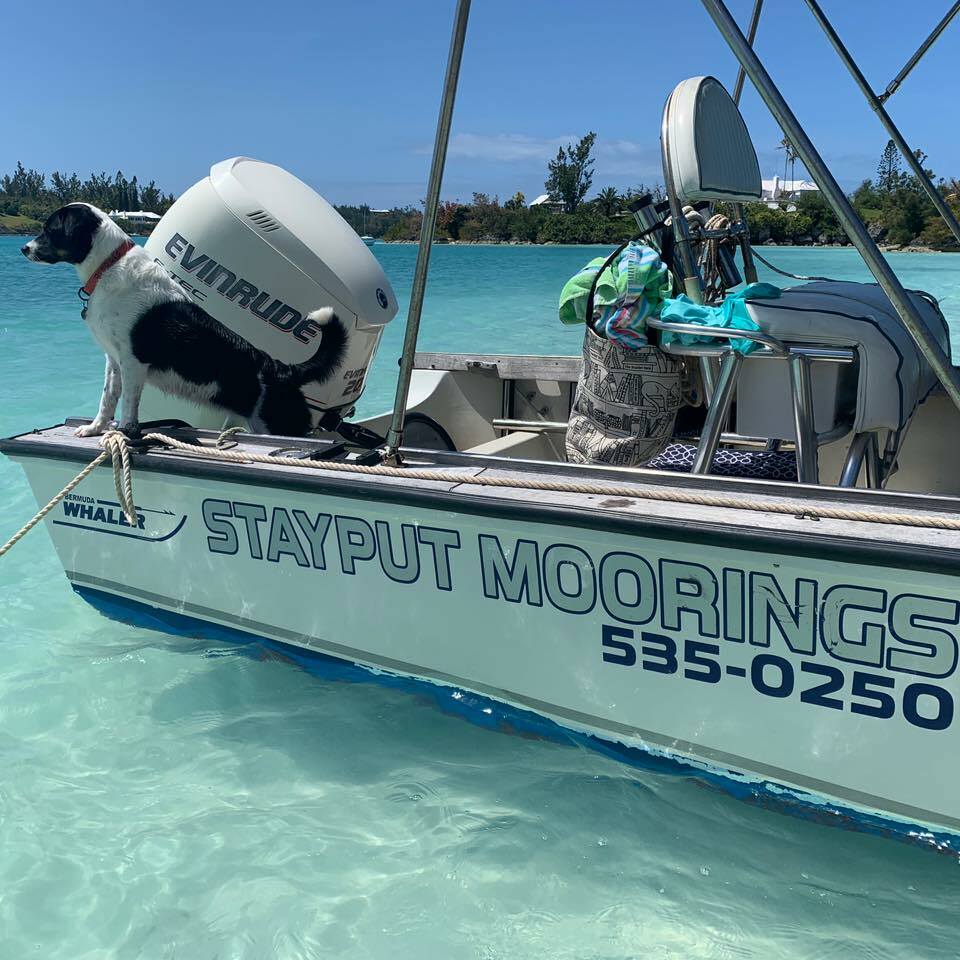 Stay Put Moorings & Marine Services