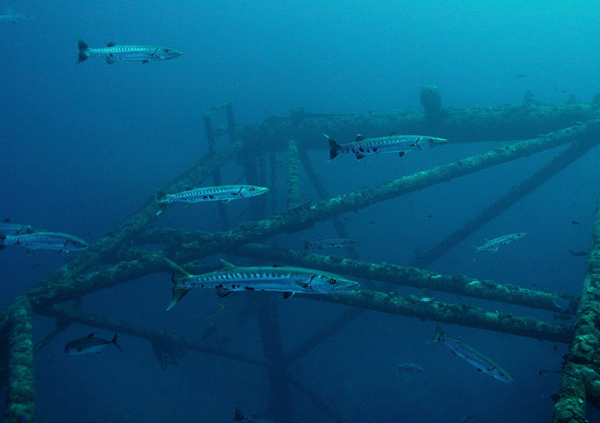 Deep Blue Dive Training Center