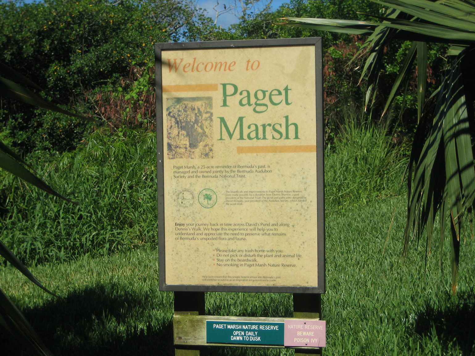 Paget Marsh
