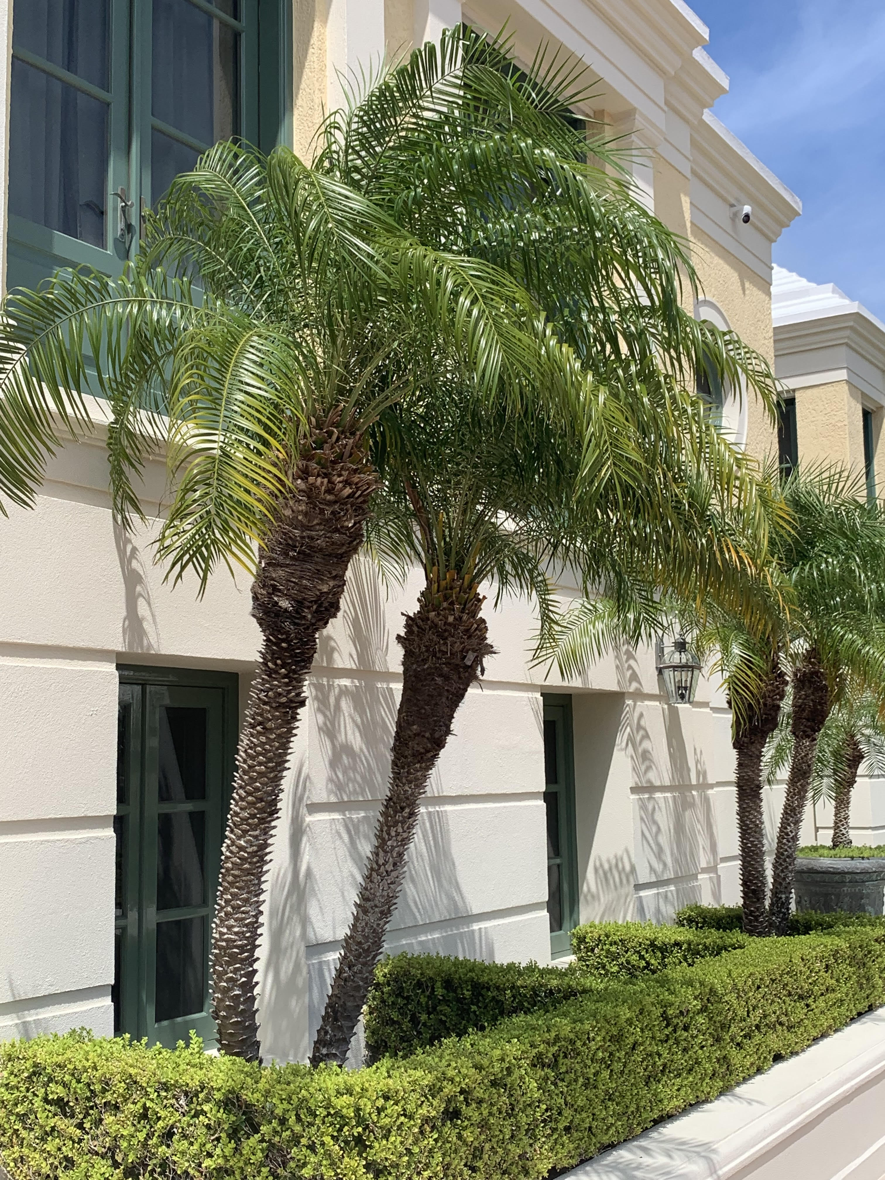 Paradise Landscaping & Maintenance Ltd