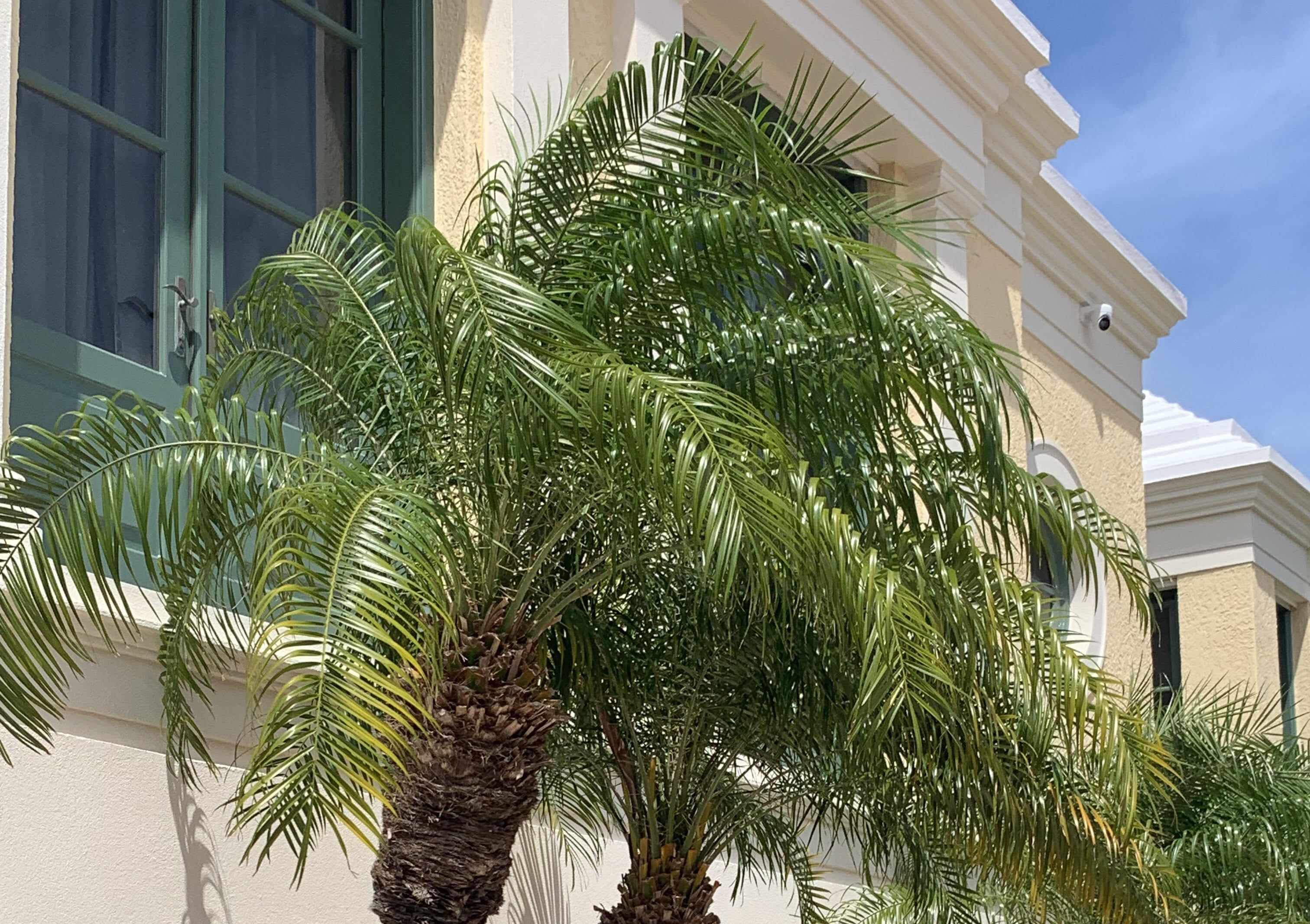 Paradise Landscaping & Maintenance Ltd