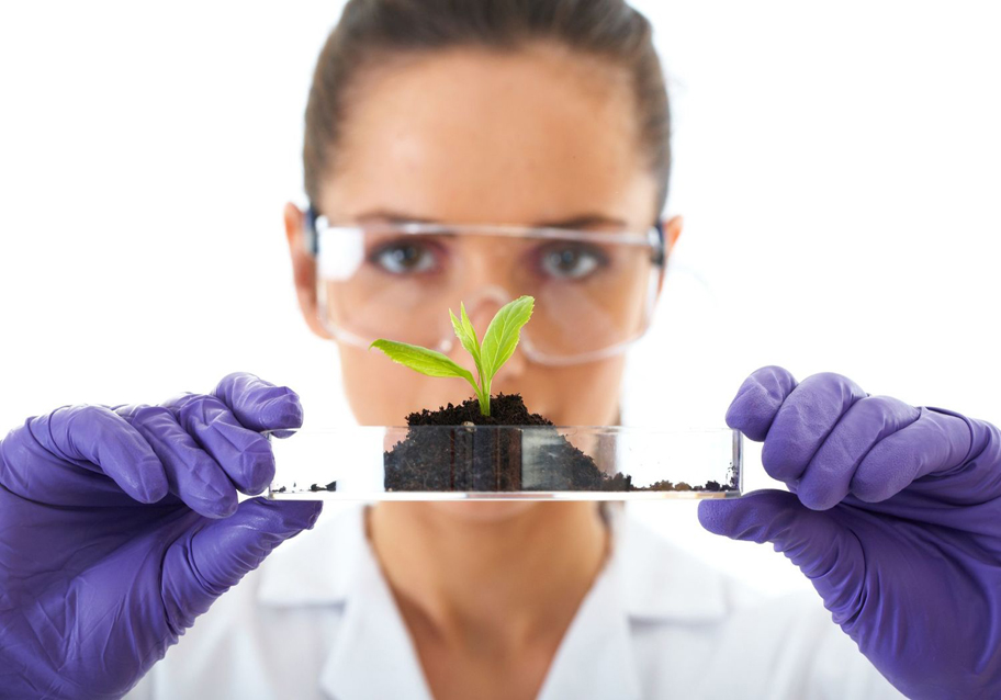 Government of Bermuda - Plant Protection Lab