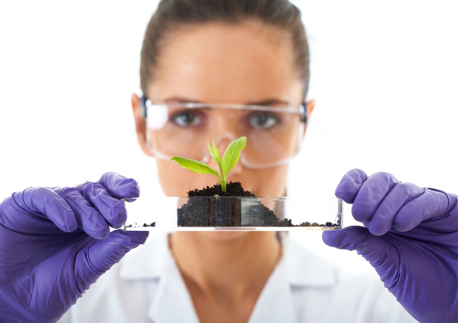 Government of Bermuda - Plant Protection Lab