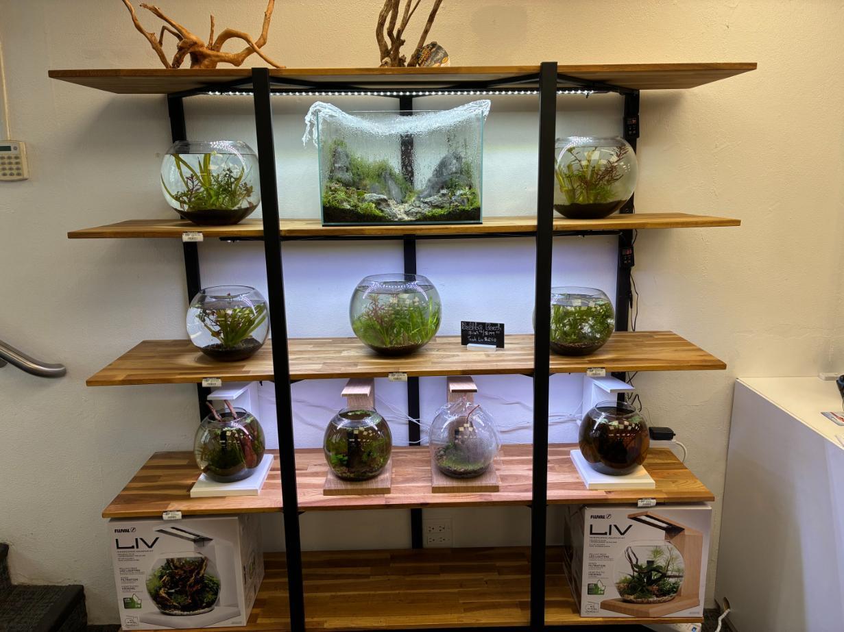 Noah's Ark Feed & Supply