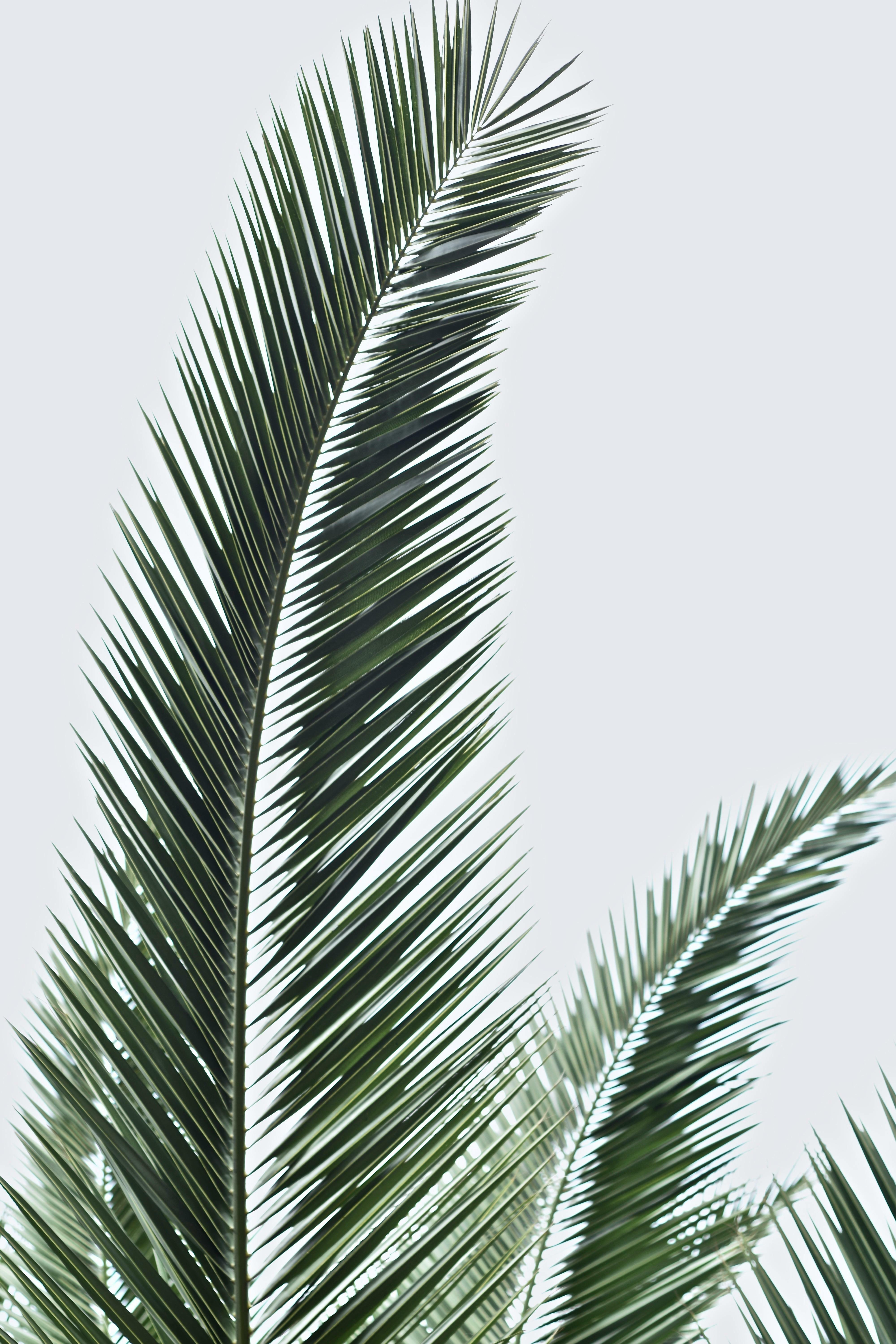 Holiday Hours - Phoenix Group of Stores 