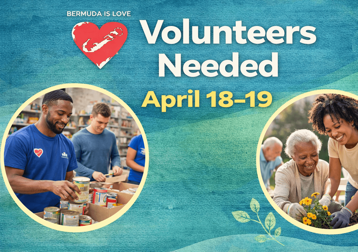 Volunteers Needed: Join Bermuda Is Love This April
