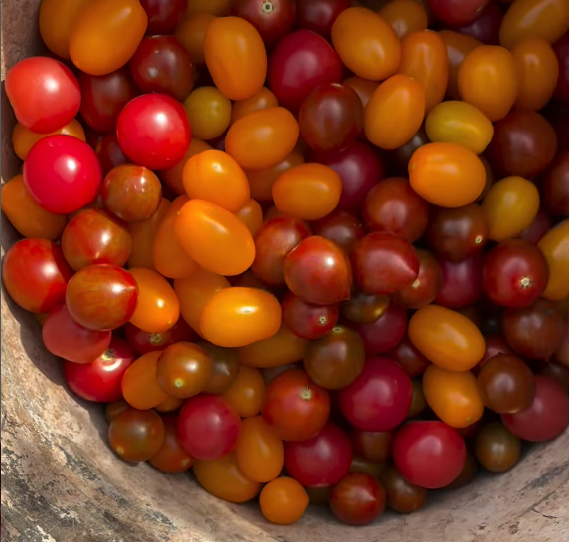 Pacheco & Sons Farms