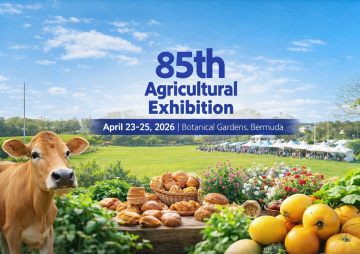 85th Agricultural Exhibition