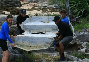 Keep Bermuda Beautiful: Monthly Clean-Ups 