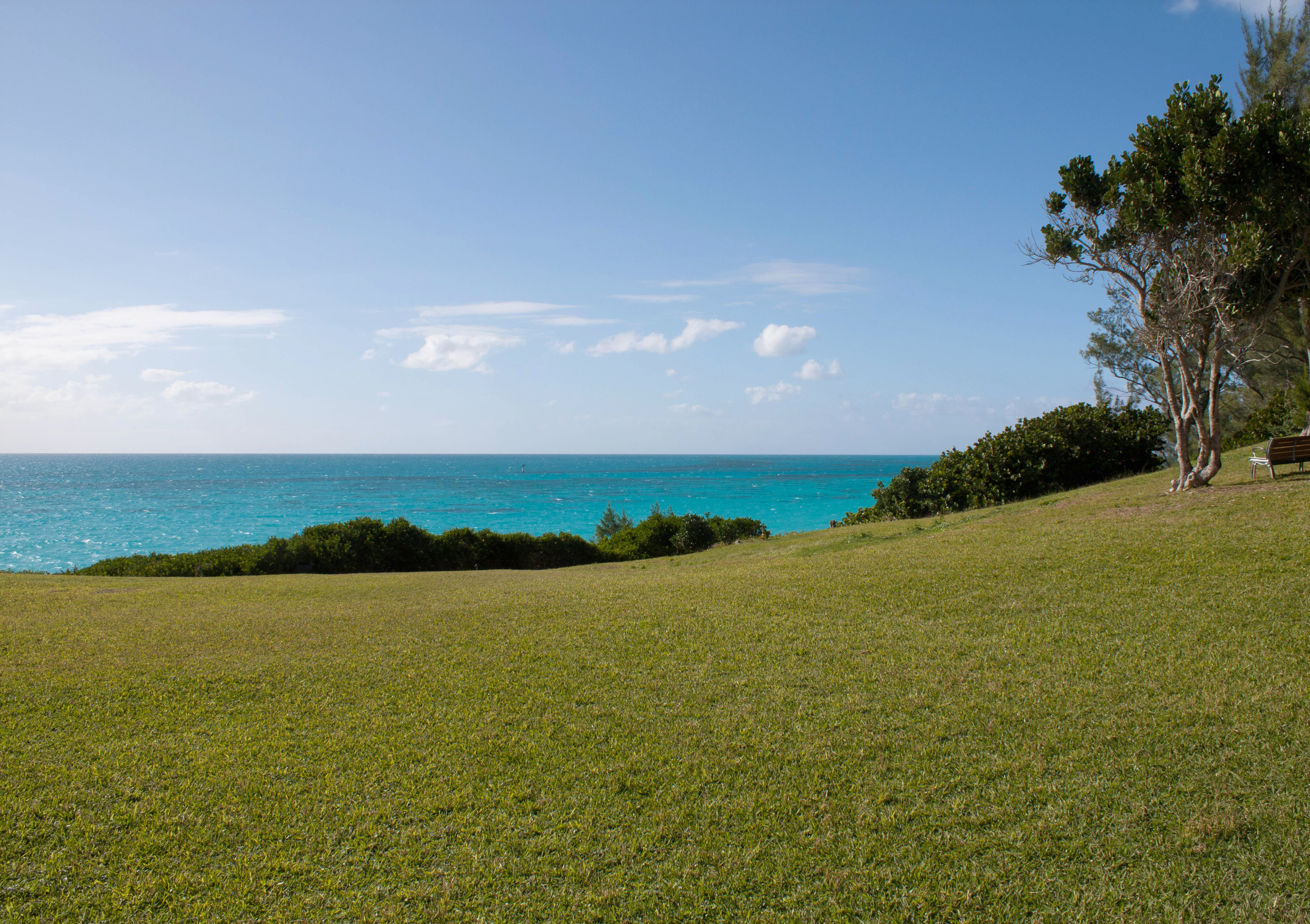 West Whale Bay Park 