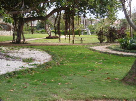 Bermuda Botanical Gardens & Visitor Centre
