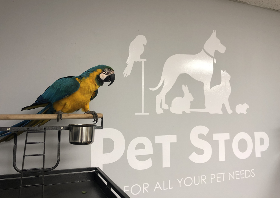 Pet Stop