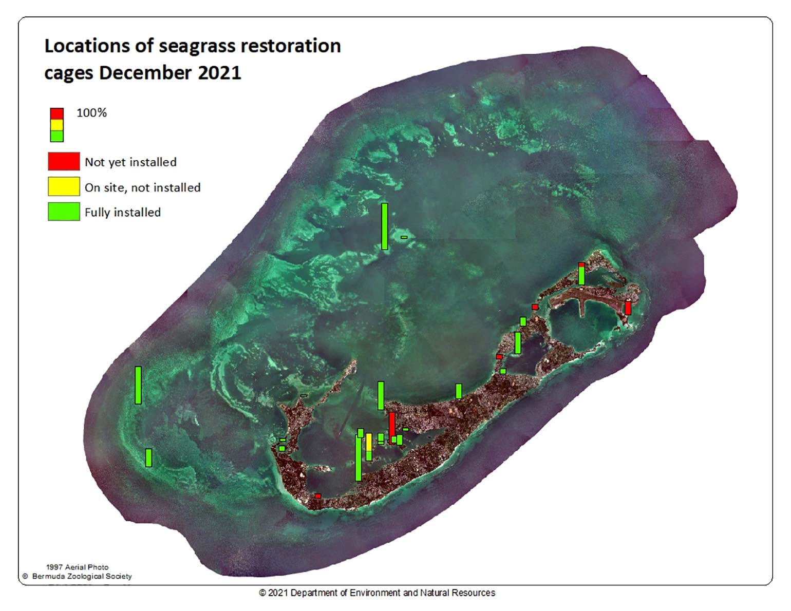 Locations of seagrass restoration cages December 2021