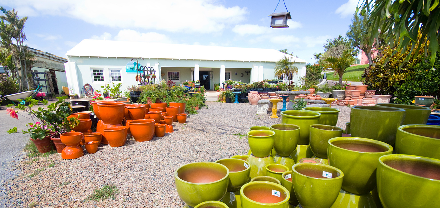 Brighton Nurseries