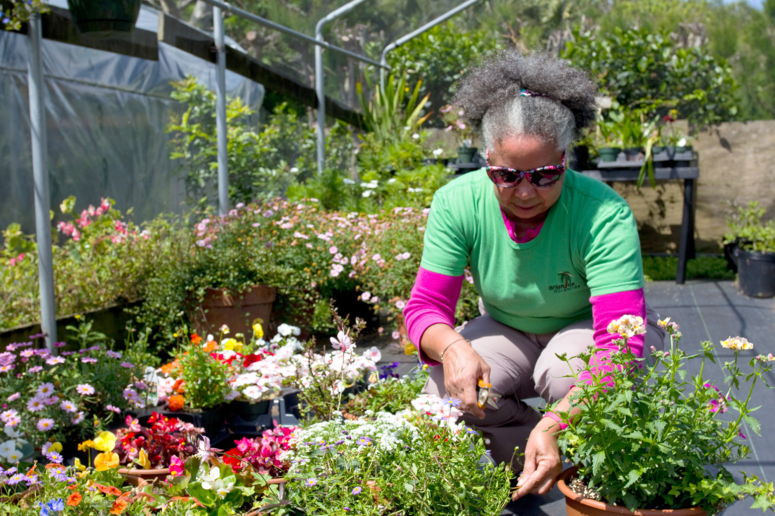 Brighton Nurseries