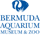 Bermuda Aquarium, Museum & Zoo