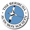 Bermuda Audubon Society