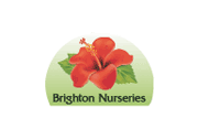 Brighton Nurseries