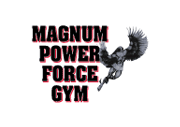 Magnum Power Force Gym