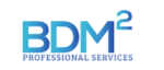BDM Squared Professional Services Limited