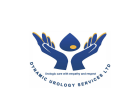 Dynamic Urology Services