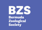 Bermuda Zoological Society