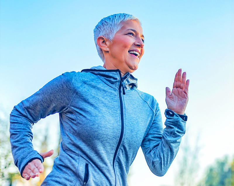 Argus Group, The Bermuda Businesses Directory