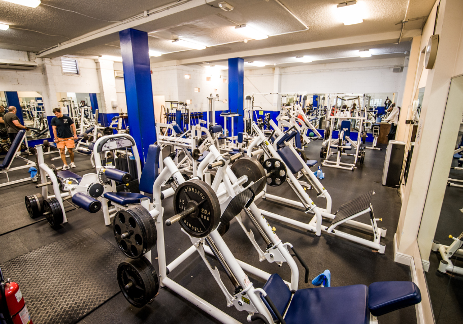 Magnum Power Force Gym Bermuda Businesses Directory