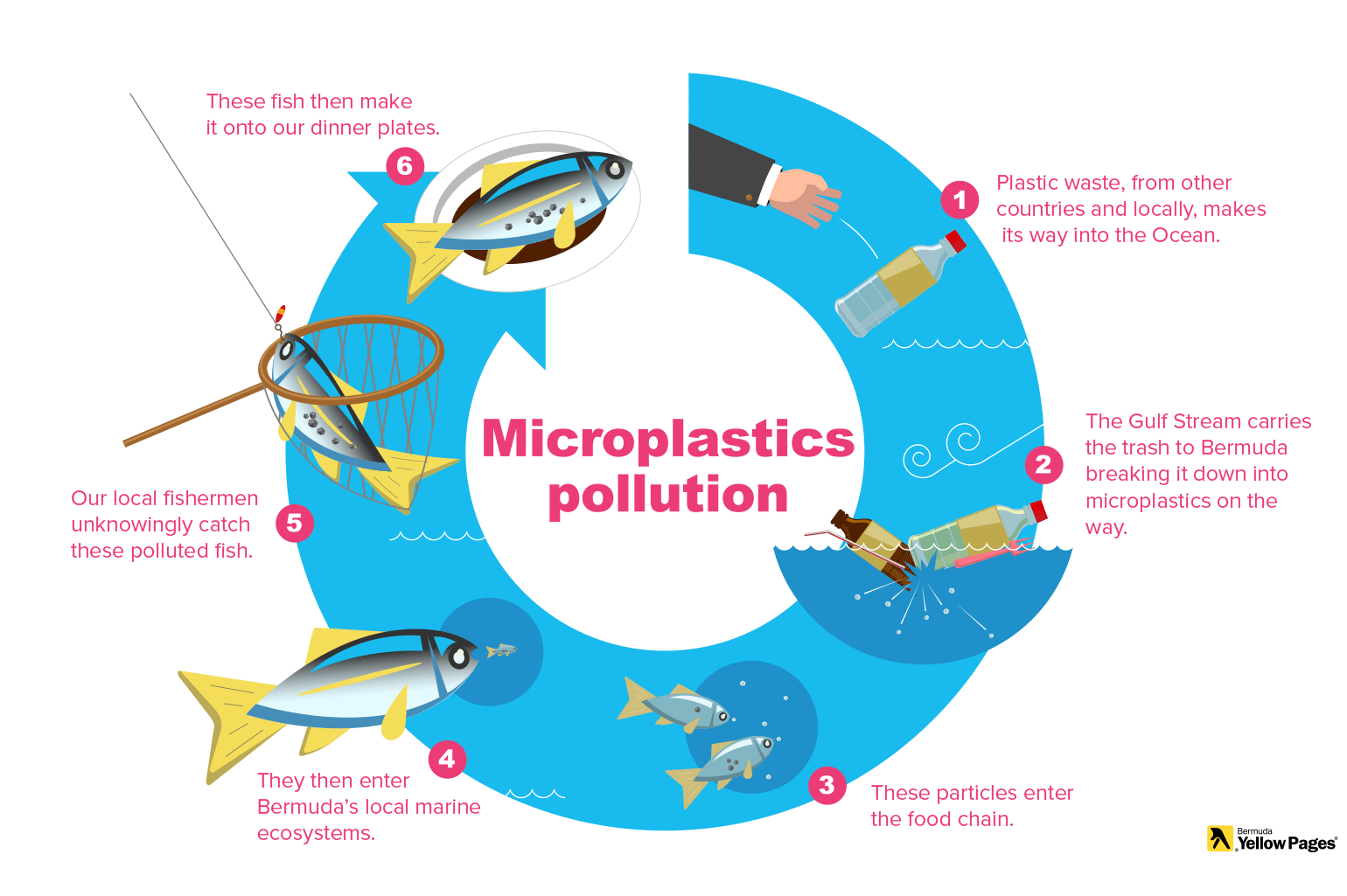 Bermuda Microplastic Pollution